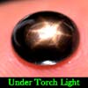 2.26 Ct. Oval Cab Natural Black Star Sapphire 6 Rays