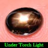 1.47 Ct. Oval Cab Natural Black Star Sapphire 6 Rays