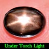 1.62 Ct. Oval Cab Natural Black Star Sapphire 6 Rays