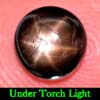 1.17 Ct. Round Cab Natural Black Star Sapphire 6 Rays