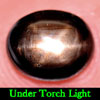 1.52 Ct. Oval Cab Natural Black Star Sapphire 6 Rays
