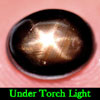 2.20 Ct. Oval Cab Natural Black Star Sapphire 6 Rays