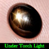 Natural Black Star Sapphire 6 Rays 2.98 Ct. Oval Cabochon