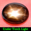 2.45 Ct. Natural Sapphire Black Star 6 Rays Oval Cabochon