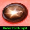 2.58 Ct. Natural Sapphire Black Star 6 Rays Oval Cabochon Unheated