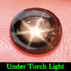 Oval Cabochon 2.48 Ct. Natural Gemstone Black Star Sapphire Good 6 Rays Oval Cabochon 2.48 Ct. Natural Gemstone Black Star Sapphire Good 6 Rays