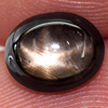Unheated 2.06 Ct. Oval Cabochon Natural Gemstone Black Star Sapphire 6 Rays Unheated 2.06 Ct. Oval Cabochon Natural Gemstone Black Star Sapphire 6 Rays