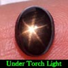 2.72 Ct. Oval Cabochon Natural Black Star Sapphire 6 Rays Unheated