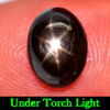 2.61 Ct. Stunning Oval Cabochon Natural Gemstone Black Star Sapphire 6 Rays