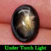 2.58 Ct. Stunning Natural Gemstone Black Star Sapphire 6 Rays Oval Cabochon