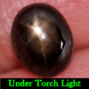 3.31 Ct. Natural Gem Black Star Sapphire 6 Rays Oval Cabochon