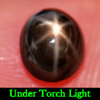 1.69 Ct. Beautiful Natural Gemstone Black Star Sapphire 6 Rays Oval Cabochon