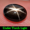 1.59 Ct. Seductive Natural Gemstone Black Star Sapphire 6 Rays Oval Cabochon