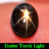 1.96 Ct. Alluring Natural Gemstone Black Star Sapphire 6 Rays Oval Cabochon