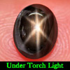 1.87 Ct. Natural Gem Black Star Sapphire 6 Rays Oval Cabochon