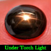 2.53 Ct. Ravishing Oval Cab Natural Gemstone Black 6 Rays Star Sapphire