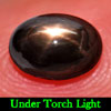 1.63 Ct. Bewitching Natural Gemstone Black 6 Rays Star Sapphire Oval Cab