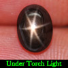 2.17 Ct. Size 7.8 x 5.8 Mm. Oval Cab Natural Gem Black 6 Rays Star Sapphire