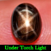 1.98 Ct. Oval Cabochon Natural Black 6 Rays Star Sapphire Gemstone