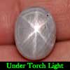 10.98 Ct. Oval Cabochon Natural Gem Gray 6 Rays Star Sapphire 10.98 Ct. Oval Cabochon Natural Gem Gray 6 Rays Star Sapphire
