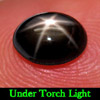 1.26 Ct. Oval Cabochon Natural Gem 6 Rays Black Star Sapphire 1.26 Ct. Oval Cabochon Natural Gem 6 Rays Black Star Sapphire
