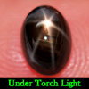 1.25 Ct. Oval Cabochon Natural Gemstone 6 Rays Black Star Sapphire 1.25 Ct. Oval Cabochon Natural Gemstone 6 Rays Black Star Sapphire