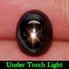 1.95 Ct. Ncie Oval Cab Natural Gem Black 6 Rays Star Sapphire 1.95 Ct. Ncie Oval Cab Natural Gem Black 6 Rays Star Sapphire