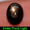 1.81 Ct. Natural Gemstone 6 Rays Black Star Sapphire Oval Cabochon 1.81 Ct. Natural Gemstone 6 Rays Black Star Sapphire Oval Cabochon