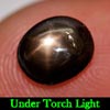 1.61 Ct. Oval Cab Natural Gemstone 6 Ray Black Star Sapphire 1.61 Ct. Oval Cab Natural Gemstone 6 Ray Black Star Sapphire