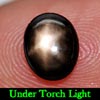 0.93 Ct. Natural Gemstone 6 Ray Black Star Sapphire Oval Cab 0.93 Ct. Natural Gemstone 6 Ray Black Star Sapphire Oval Cab