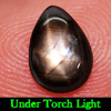 0.94 Ct. Natural Gem Lucky 6 Ray Black Star Sapphire Pear Cabochon 0.94 Ct. Natural Gem Lucky 6 Ray Black Star Sapphire Pear Cabochon
