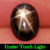 1.55 Ct. Oval Cabochon Natural Black Star Sapphire 6 Rays 1.55 Ct. Oval Cabochon Natural Black Star Sapphire 6 Rays