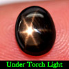 1.43 Ct. Natural 6 Ray Black Star Oval Cab Sapphire Gemstone 1.43 Ct. Natural 6 Ray Black Star Oval Cab Sapphire Gemstone