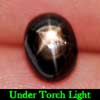 2.04 Ct. Oval Cab Natural Gemstone 6 Rays Black Star Sapphire 2.04 Ct. Oval Cab Natural Gemstone 6 Rays Black Star Sapphire