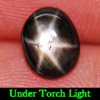 1.19 Ct. Natural 6 Ray Black Star Oval Cab Sapphire Gemstone 1.19 Ct. Natural 6 Ray Black Star Oval Cab Sapphire Gemstone