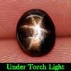 1.20 Ct. Natural 6 Ray Black Star Oval Cab Sapphire Gemstone 1.20 Ct. Natural 6 Ray Black Star Oval Cab Sapphire Gemstone