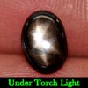 1.22 Ct. Oval Cab Natural 6 Rays Black Star Sapphire 1.22 Ct. Oval Cab Natural 6 Rays Black Star Sapphire