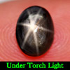 Oval Cabochon 1.40 Ct. Natural 6 Ray Black Star Sapphire Gemstone Oval Cabochon 1.40 Ct. Natural 6 Ray Black Star Sapphire Gemstone