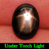 1.24 Ct. Natural 6 Rays Black Star Oval Cab Sapphire Gemstone 1.24 Ct. Natural 6 Rays Black Star Oval Cab Sapphire Gemstone