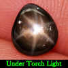 1.21 Ct. Pear Cabochon Natural Black Star Sapphire 6 Rays 1.21 Ct. Pear Cabochon Natural Black Star Sapphire 6 Rays