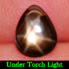 1.17 Ct. Pear Cab Natural Black Star Sapphire 6 Rays 1.17 Ct. Pear Cab Natural Black Star Sapphire 6 Rays