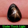 1.89 Ct. Natural Gem Lucky 6 Ray Black Star Sapphire Pear Cabochon 1.89 Ct. Natural Gem Lucky 6 Ray Black Star Sapphire Pear Cabochon