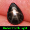 1.52 Ct. Natural Gem Lucky 6 Ray Black Star Sapphire Pear Cabochon 1.52 Ct. Natural Gem Lucky 6 Ray Black Star Sapphire Pear Cabochon