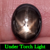 3.00 Ct. Natural Gemstone Black Star Sapphire 6 Rays Oval Cabochon