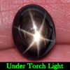 3.50 Ct. Natural Gemstone Black Star Sapphire 6 Rays Oval Cabochon