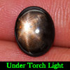 2.39 Ct. Oval Cab Natural 6 Ray Black Star Sapphire Gemstone