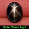 2.87 Ct. Oval Cabochon Natural 6 Ray Black Star Sapphire Gemstone