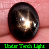 3.50 Ct. Natural Gemstone 6 Ray Black Star Sapphire Oval Cabochon
