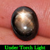 2.79 Ct. Natural Gemstone 6 Ray Black Star Sapphire Oval Cabochon