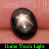 1.77 Ct. Oval Cabochon Natural Gemstone 6 Ray Black Star Sapphire